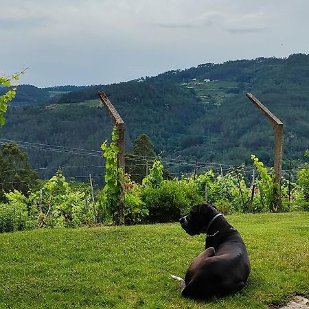 Casa Da Vina - Ribeira Sacra Villa Nogueira De Ramuin ภายนอก รูปภาพ