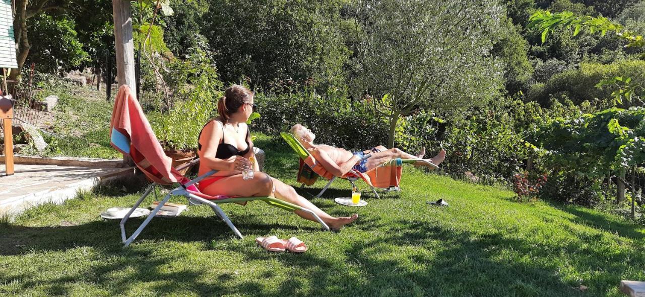 Casa Da Vina - Ribeira Sacra Villa Nogueira De Ramuin ภายนอก รูปภาพ