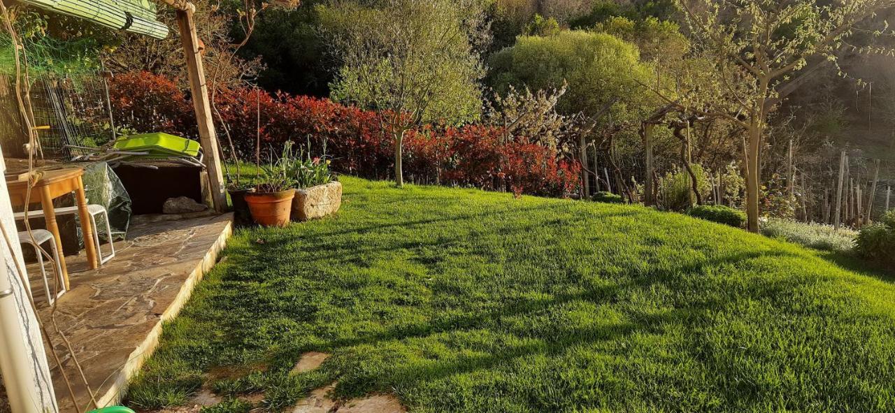 Casa Da Vina - Ribeira Sacra Villa Nogueira De Ramuin ภายนอก รูปภาพ