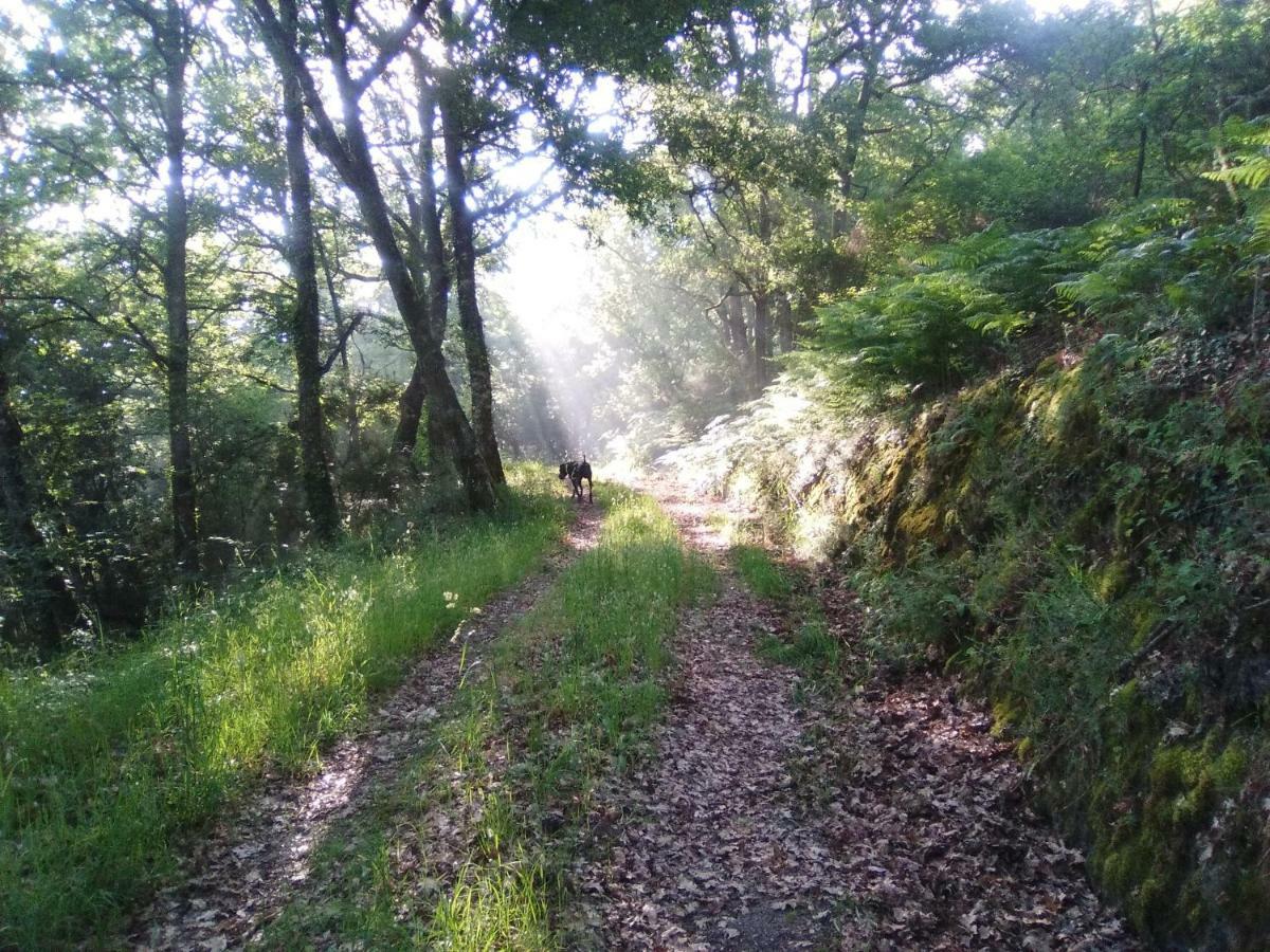 Casa Da Vina - Ribeira Sacra Villa Nogueira De Ramuin ภายนอก รูปภาพ