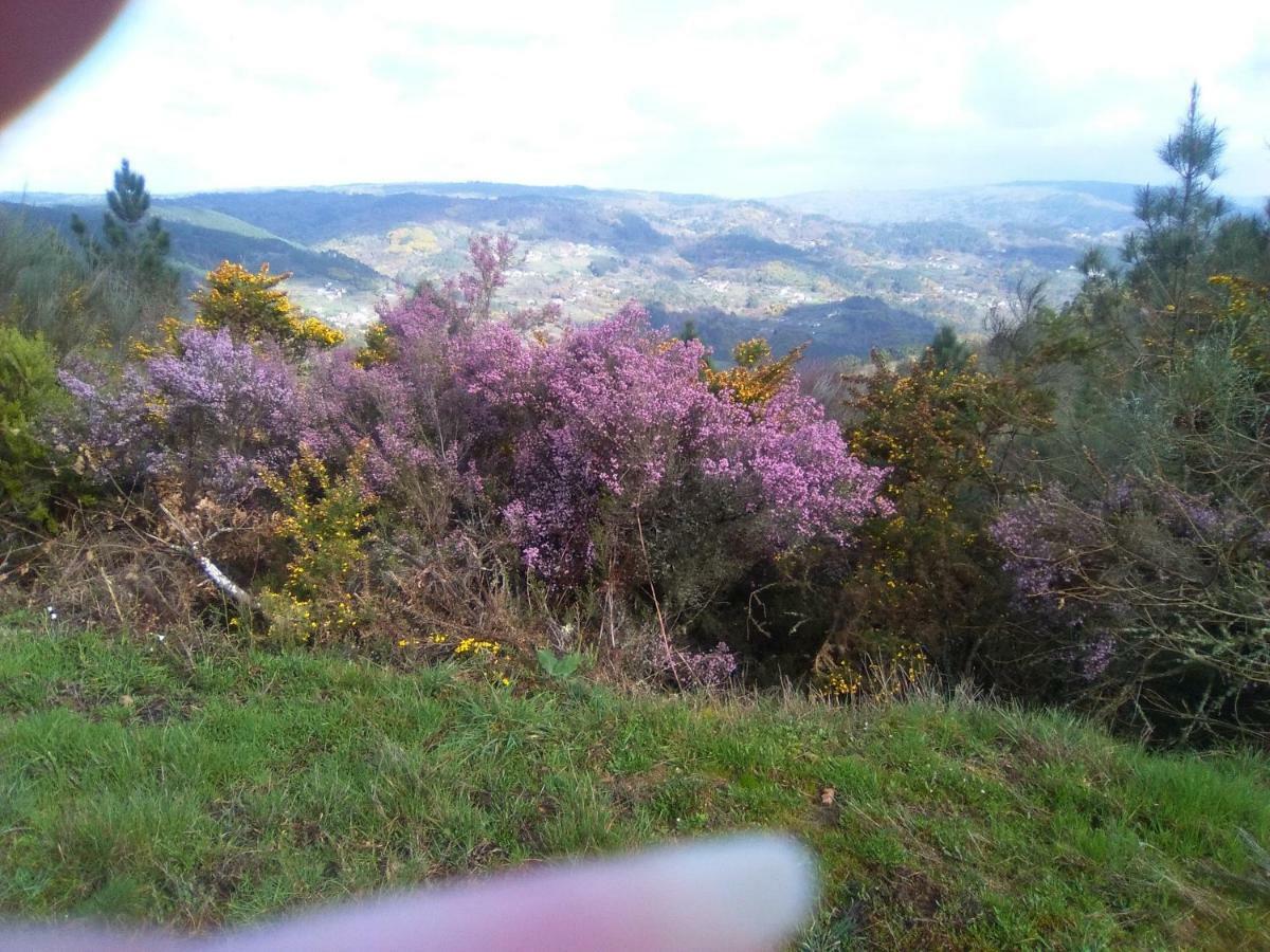 Casa Da Vina - Ribeira Sacra Villa Nogueira De Ramuin ภายนอก รูปภาพ