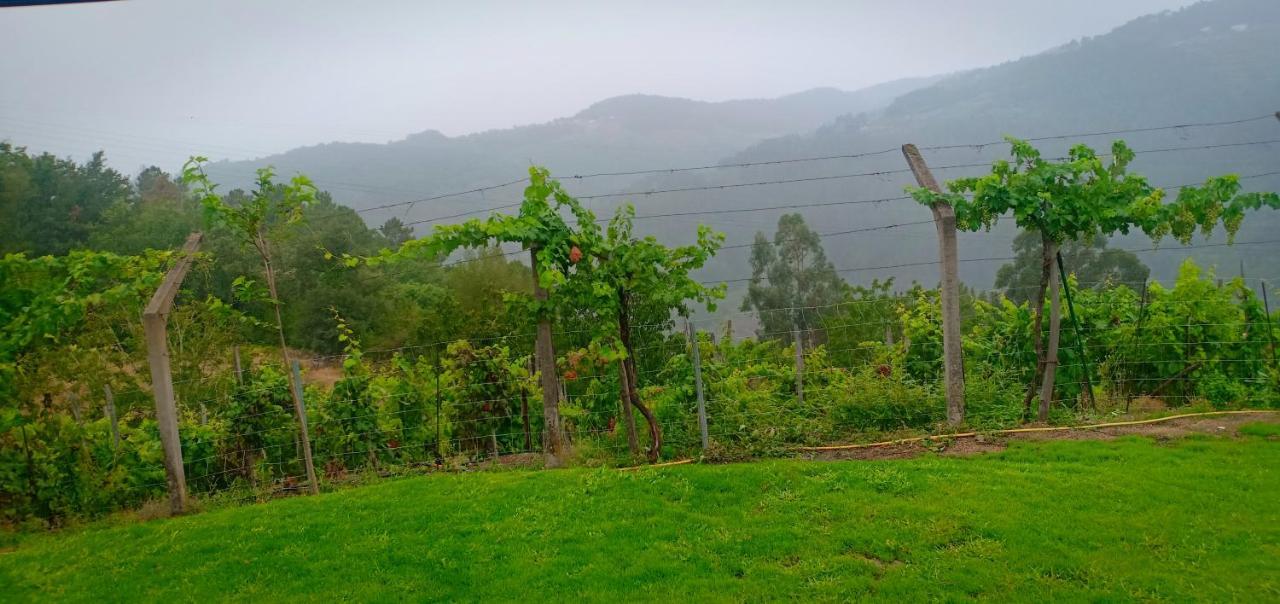 Casa Da Vina - Ribeira Sacra Villa Nogueira De Ramuin ภายนอก รูปภาพ