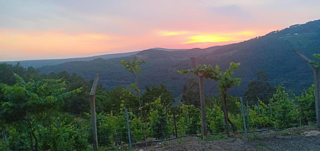 Casa Da Vina - Ribeira Sacra Villa Nogueira De Ramuin ภายนอก รูปภาพ