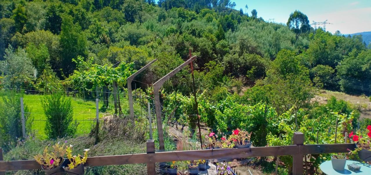 Casa Da Vina - Ribeira Sacra Villa Nogueira De Ramuin ภายนอก รูปภาพ